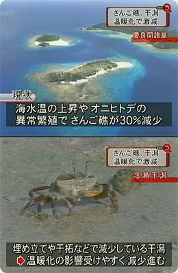 の 影響 地球 温暖 化