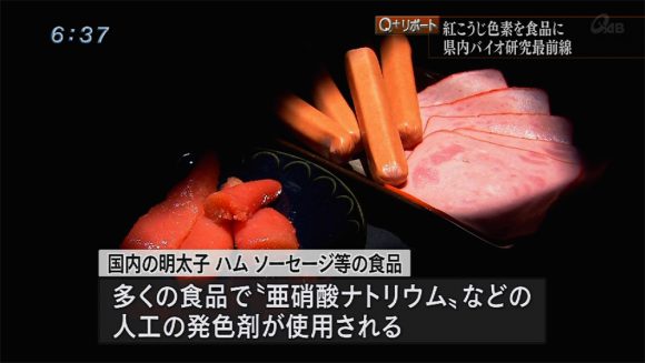 Q+リポート 紅こうじ色素が食品産業変える?!
