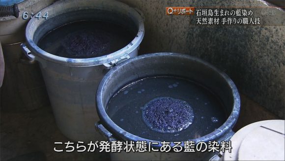 Q+リポート 「島で生まれる藍」島藍農園