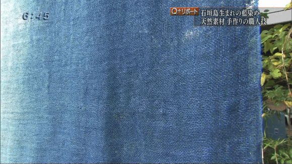 Q+リポート 「島で生まれる藍」島藍農園