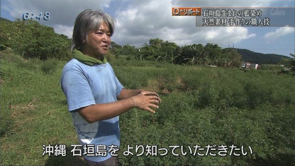 Q+リポート 「島で生まれる藍」島藍農園