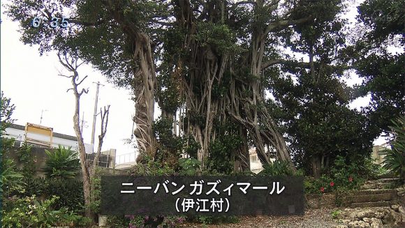 特集 舞台「木の上の軍隊」が問うもの