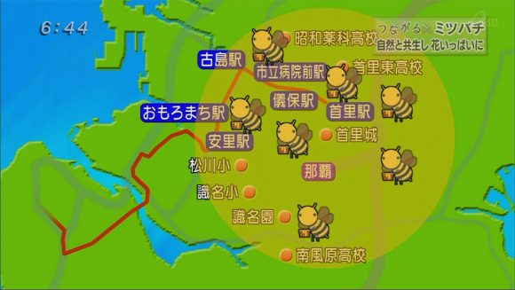 シリーズつながる ミツバチの力で花いっぱいに!!