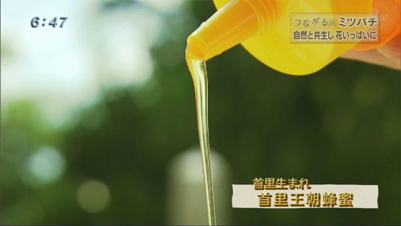 シリーズつながる ミツバチの力で花いっぱいに!!