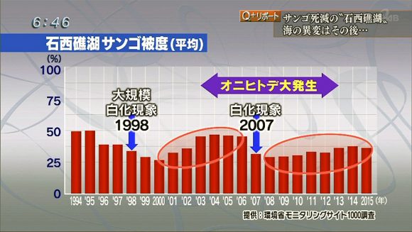 Q+リポート 石西礁湖 大規模白化の海に潜る