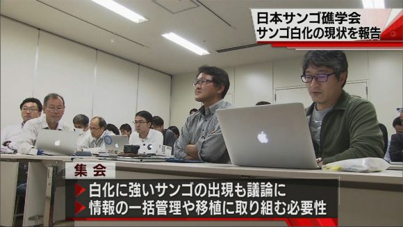 日本サンゴ礁学会 白化で情報交換
