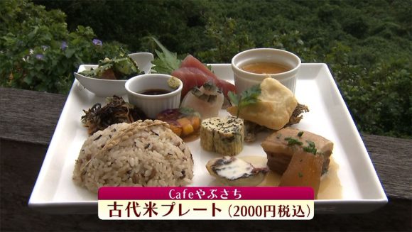 中継 食で聖地巡礼!あがり美味ーい!