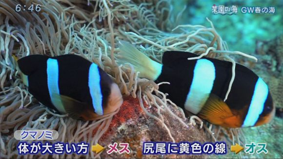 楽園の海 ゴールデンウィーク春の海