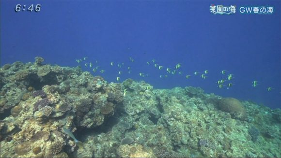 楽園の海 ゴールデンウィーク春の海