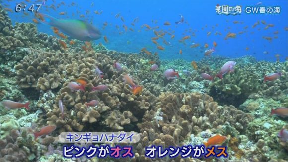 楽園の海 ゴールデンウィーク春の海