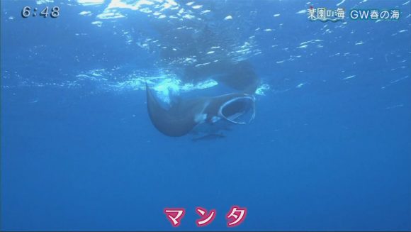 楽園の海 ゴールデンウィーク春の海