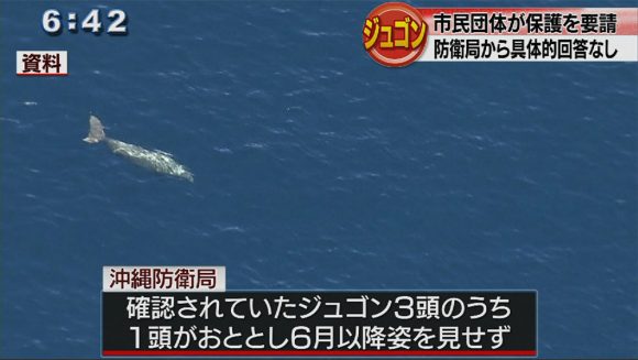 「ジュゴン絶滅させるな」 市民団体が要請
