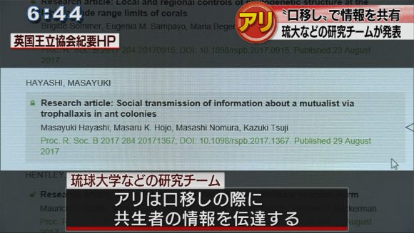 アリは口移しで情報を共有している!