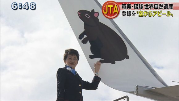 世界自然遺産登録を応援 JTA特別塗装機