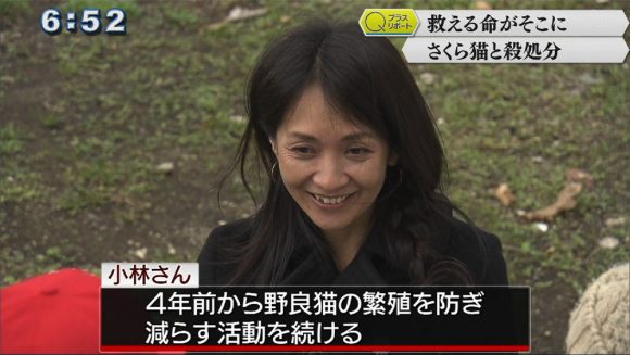 Qプラスリポート 取り組み知って さくら猫〜命を考える〜