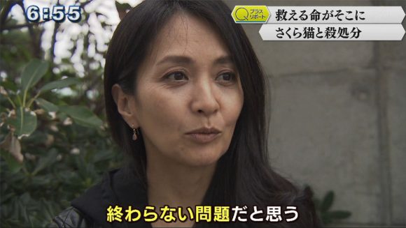 Qプラスリポート 取り組み知って さくら猫〜命を考える〜