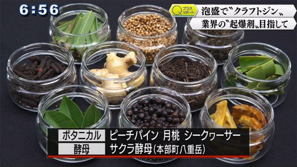 Qプラスリポート クラフトジン 老舗酒造所の若手研究者に密着