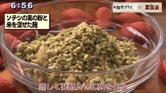 お散歩プラス #1 粟国島