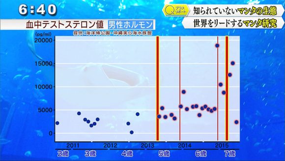 Qプラスリポート 沖縄美ら海水族館 マンタ研究の魅力