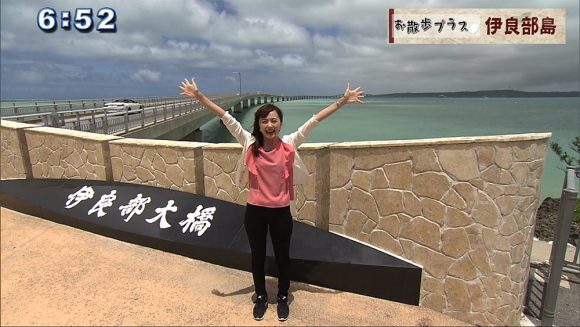 お散歩プラス #3 伊良部島 空を飛ぶのは…