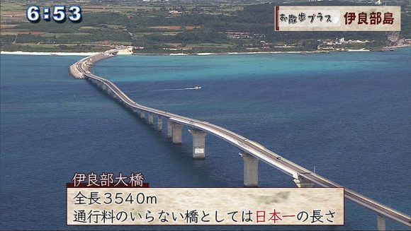 お散歩プラス #3 伊良部島 空を飛ぶのは…