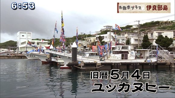 お散歩プラス #3 伊良部島 空を飛ぶのは…