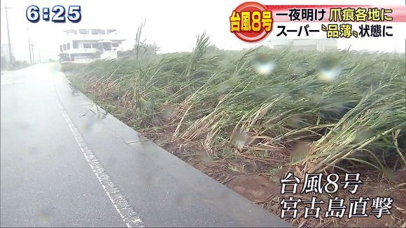 台風から一夜 被害状況は