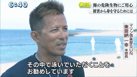 Qプラスリポート 海の危険生物にご用心 ハブクラゲの被害から身を守るために