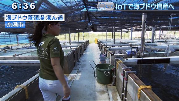 Qビズ IoTで生産量が1.5倍に!