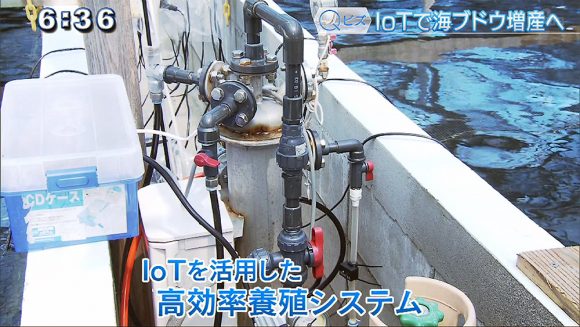 Qビズ IoTで生産量が1.5倍に!