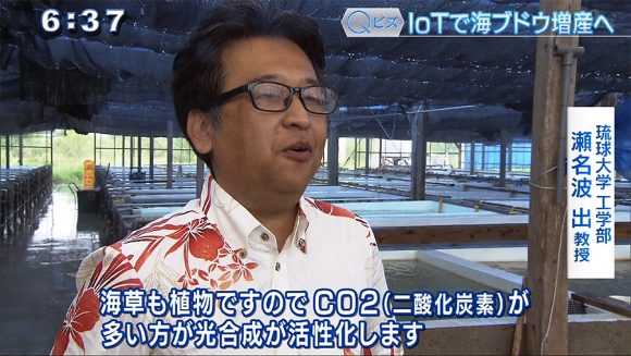Qビズ IoTで生産量が1.5倍に!