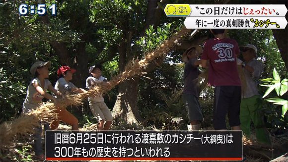 Qプラスリポート 渡嘉敷島の「カシチー」 真剣勝負の綱曳き