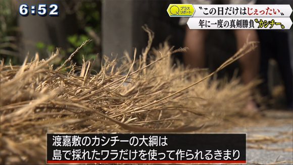Qプラスリポート 渡嘉敷島の「カシチー」 真剣勝負の綱曳き