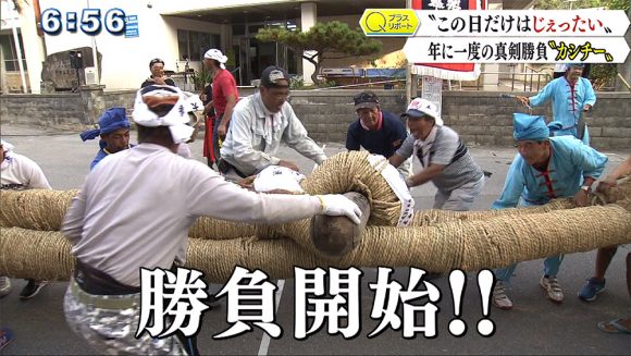 Qプラスリポート 渡嘉敷島の「カシチー」 真剣勝負の綱曳き