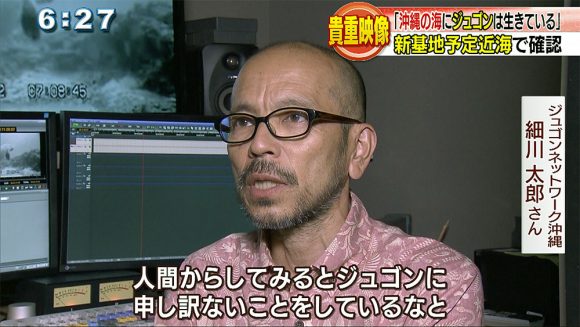 貴重映像!ウミガメと泳ぐジュゴンは何を訴える