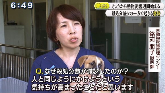 Qプラスリポート きょうから動物愛護週間 殺処分減少の一方で起きる虐待