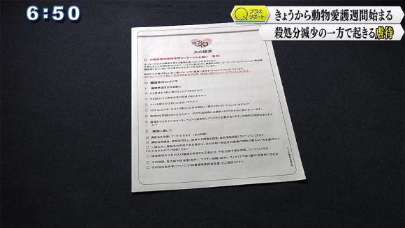 Qプラスリポート きょうから動物愛護週間 殺処分減少の一方で起きる虐待