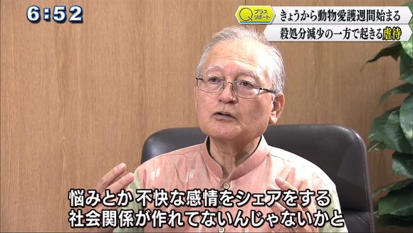 Qプラスリポート きょうから動物愛護週間 殺処分減少の一方で起きる虐待