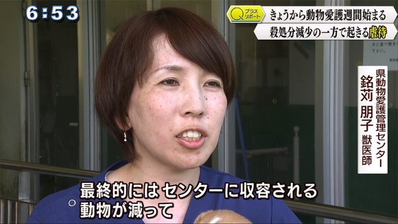 Qプラスリポート きょうから動物愛護週間 殺処分減少の一方で起きる虐待