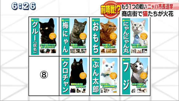 ニャハ市長選挙