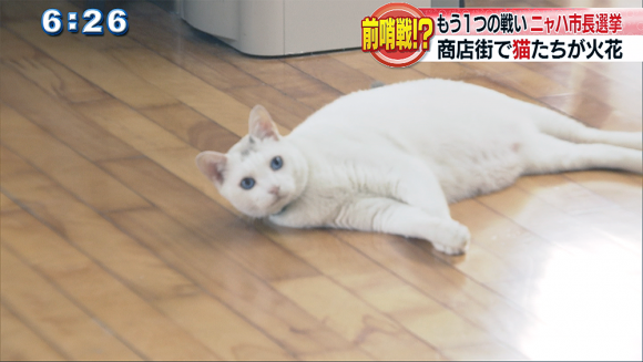 ニャハ市長選挙
