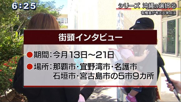 シリーズ 沖縄の選択(2) 有権者が考える争点は
