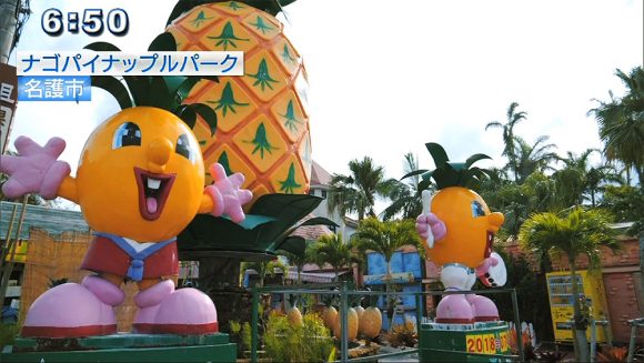 Qビズ 県産〇〇ワインの挑戦