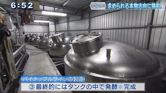 Qビズ 県産〇〇ワインの挑戦