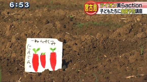 「良い歯」になってカレーパーティー ライオンが虫歯予防講座