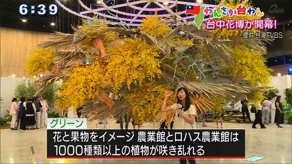 わんさか台わん 「台中フローラ世界博覧会」
