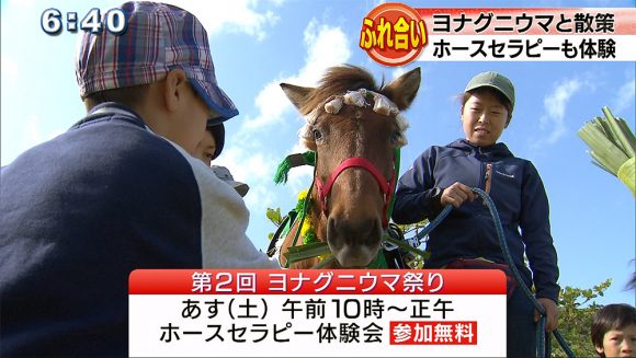 癒やしの在来種 ヨナグニウマ祭り