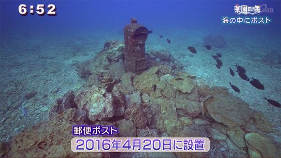 楽園の海 海の中に○○