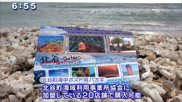 楽園の海 海の中に○○