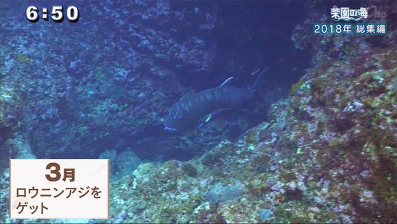 楽園の海 2018年総集編